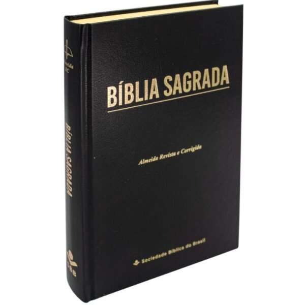 Bíblia com letra Grande Capa Dura | Preto
