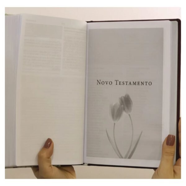 Biblia da Mulher de Fé - Letra Grande NVI - Tecido Vinho Sobre Capa Dura, Aquarela - Imagem 5