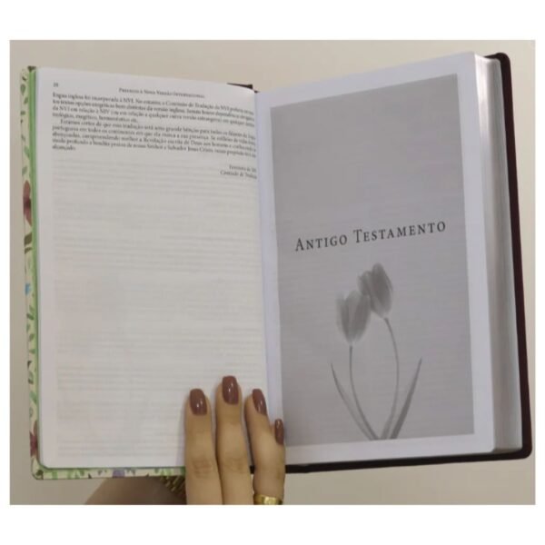 Biblia da Mulher de Fé - Letra Grande NVI - Tecido Vinho Sobre Capa Dura, Aquarela - Imagem 6