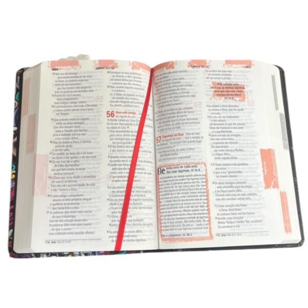 Biblia edição com notas para jovens | coração - Imagem 2