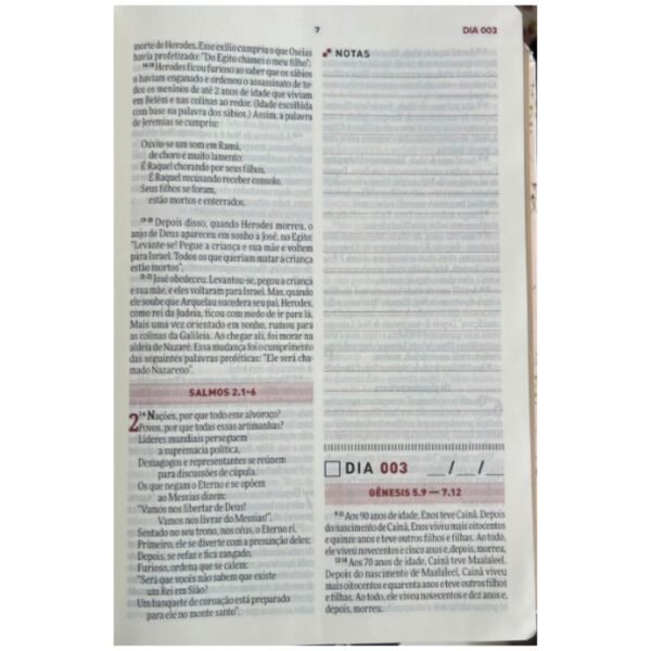 Bíblia TODO DIA | Letra Grande | Botanica - Imagem 5