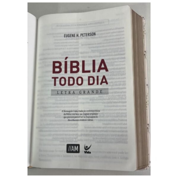 Bíblia TODO DIA | Letra Grande | Cinza Tecido - Imagem 2