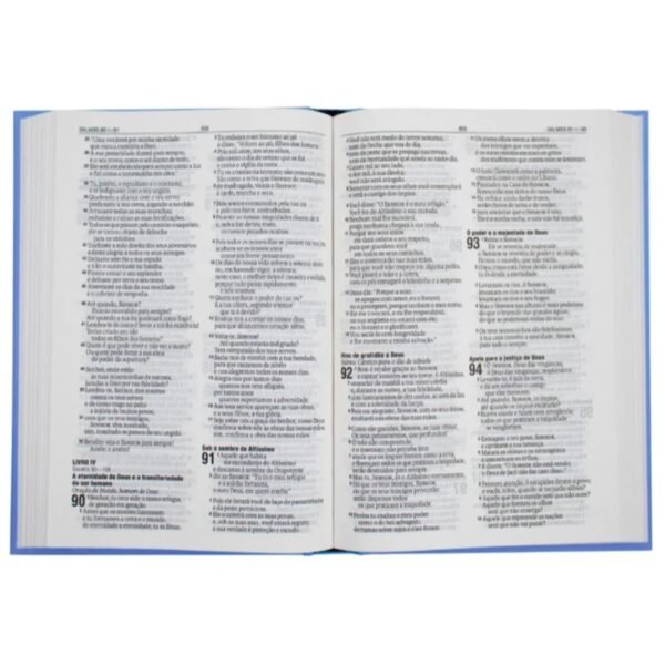 Biblia RA flowblue | Capa Dura - Imagem 3