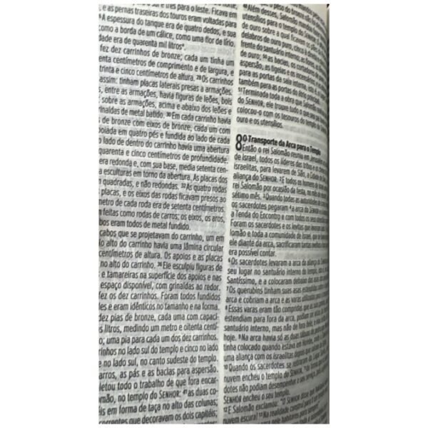 Biblia Rugido da verdade | Semi Luxo | NVI - Imagem 4