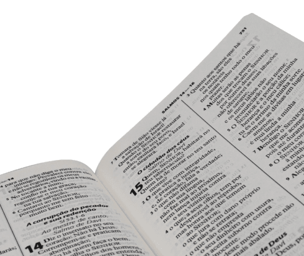 Biblia letra grande Luxo SBB | Rosa com azul - Imagem 3