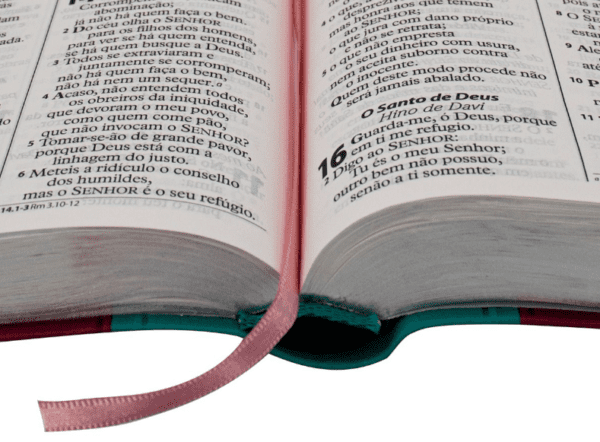 Biblia letra grande Luxo SBB | Rosa com azul - Imagem 4