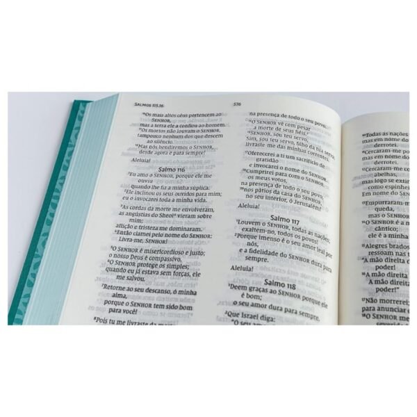 Biblia Leitura Perfeita - Capa Tecido Verde - Imagem 2