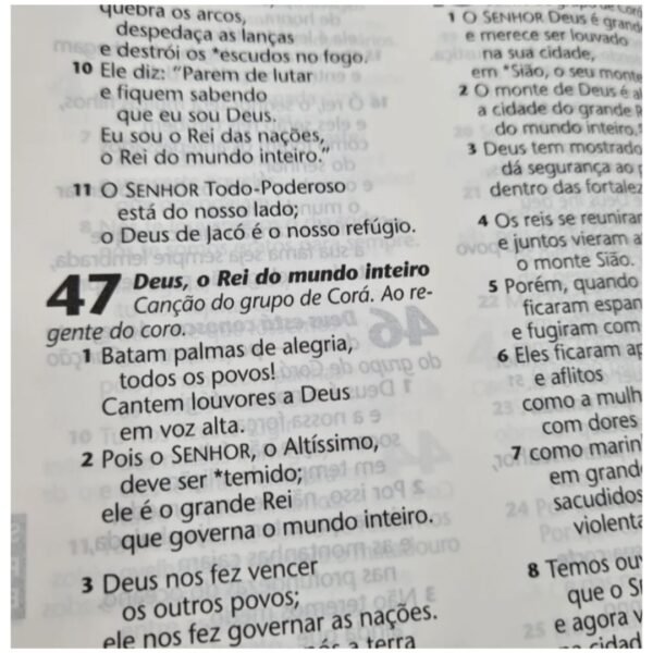Bíblia Letra Grande - azaleia - Imagem 5