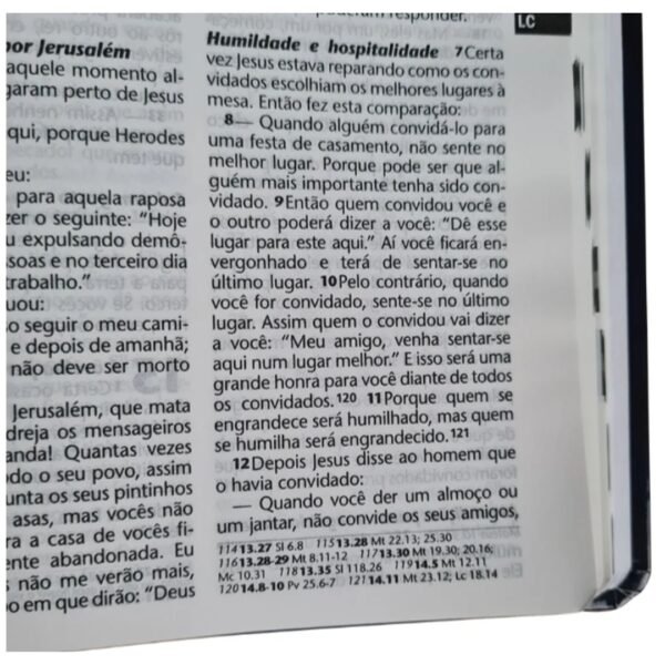 Bíblia Letra Grande - azaleia - Imagem 7