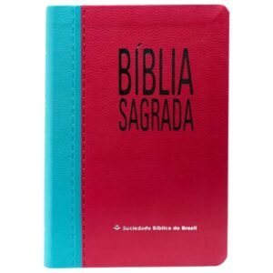 Biblia letra grande Luxo SBB | Rosa com azul