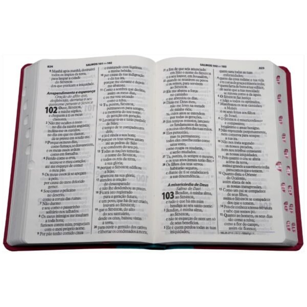 Biblia letra grande Luxo SBB | Rosa com azul - Imagem 5