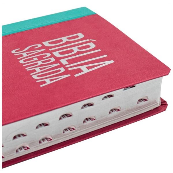 Biblia letra grande Luxo SBB | Rosa com azul - Imagem 2