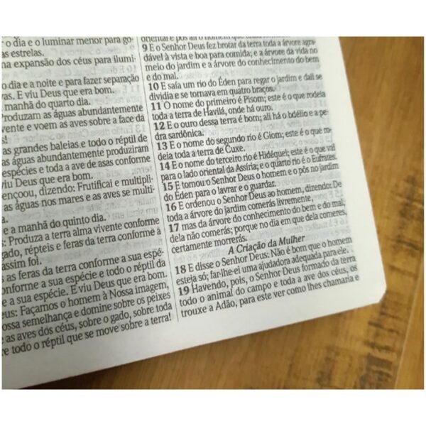 Biblia Slim Capa Dura Arc Harpa E Corinhos - Flores E Folhas - Imagem 4
