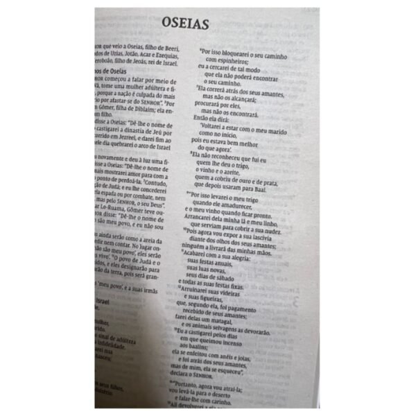 Biblia Sagrada Nvi, Brochura, Economica - Imagem 4