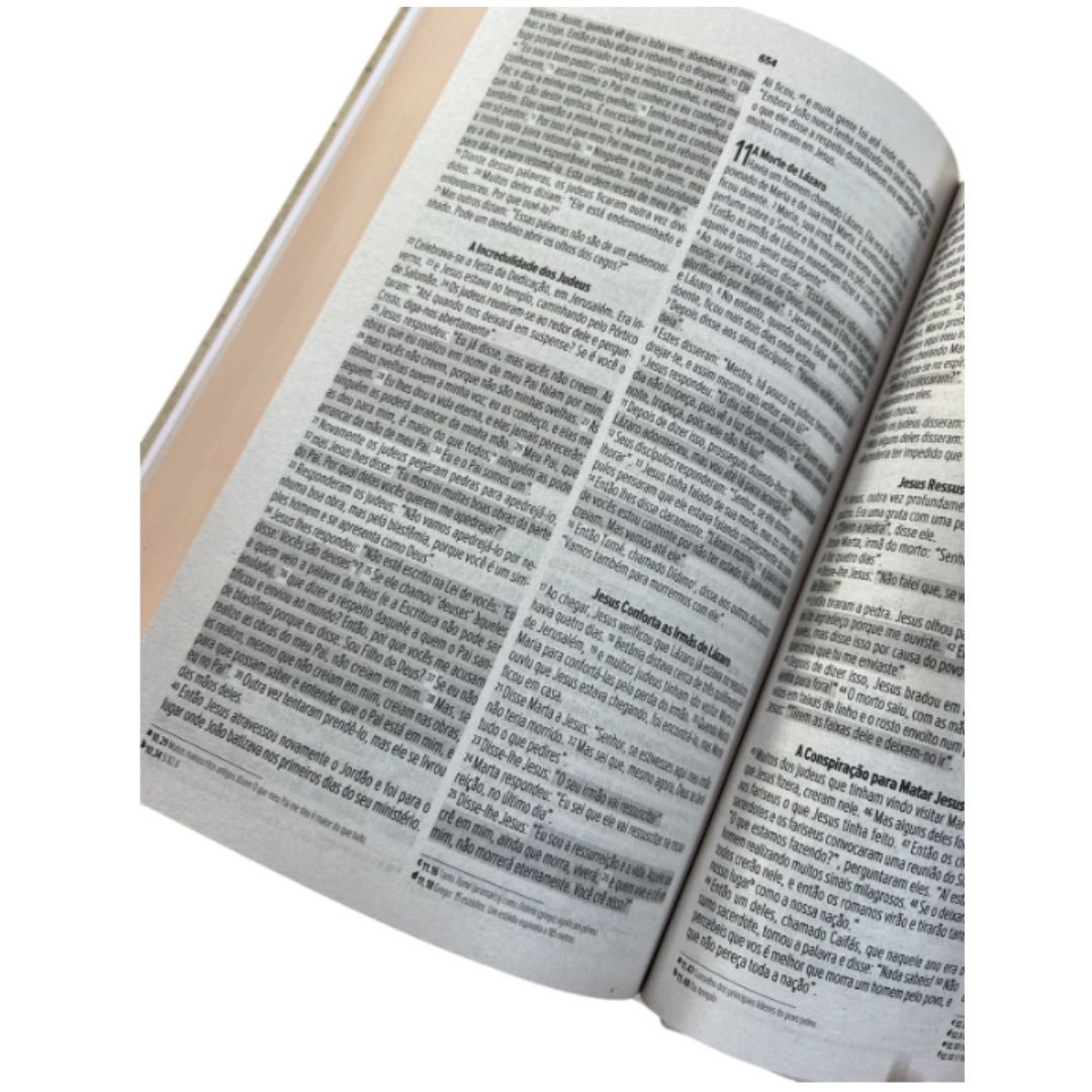 Bíblia Semi Luxo NVI - Letra Normal | Força e Dignidade - Imagem 3