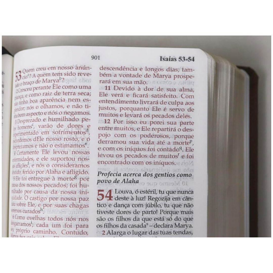 Bíblia PESHITTA - Imagem 5