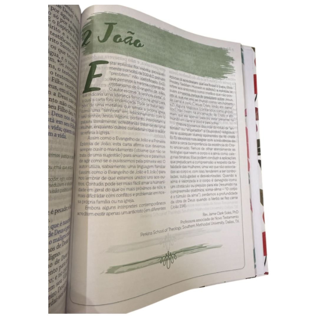 Bíblia da Mulher de Deus | Flores Leão | Capa Dura - Imagem 5