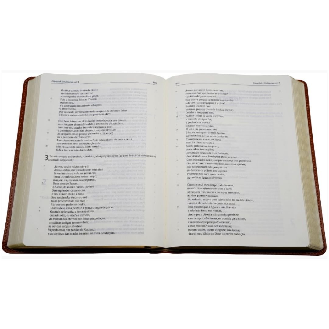 Bíblia Judaica completa | Capa Luxo Vinho - Imagem 4