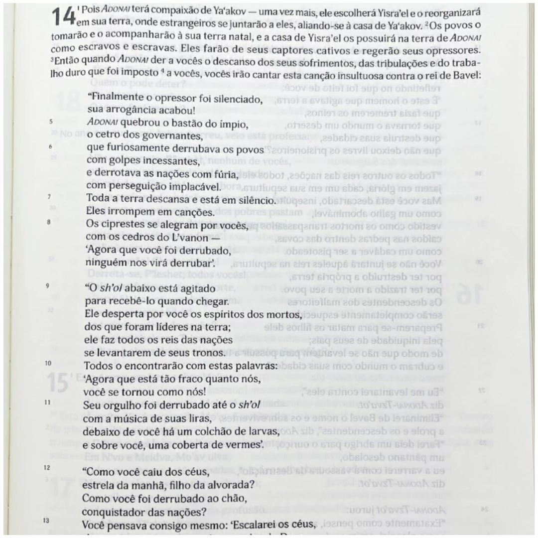 Bíblia Judaica completa | Capa Luxo Vinho - Imagem 3