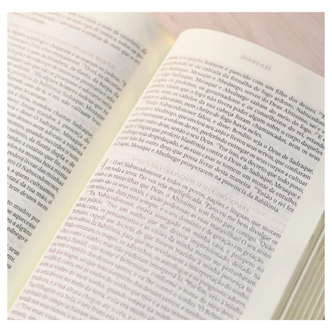 The Purpose Book Bíblia Almeida Século 21 - Capa Couro | Marrom - Imagem 3