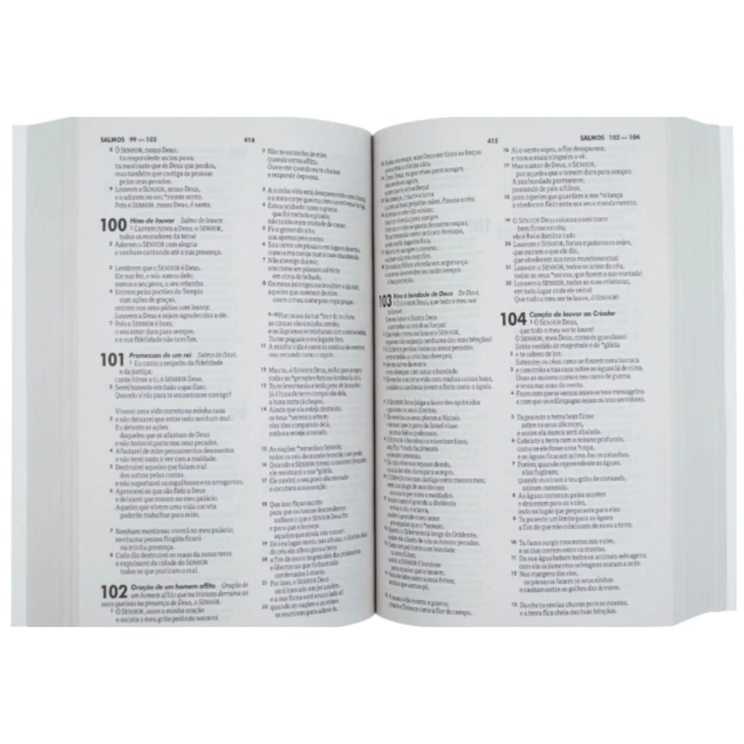Bíblia Sagrada Semear | NTLH Preto - Imagem 4