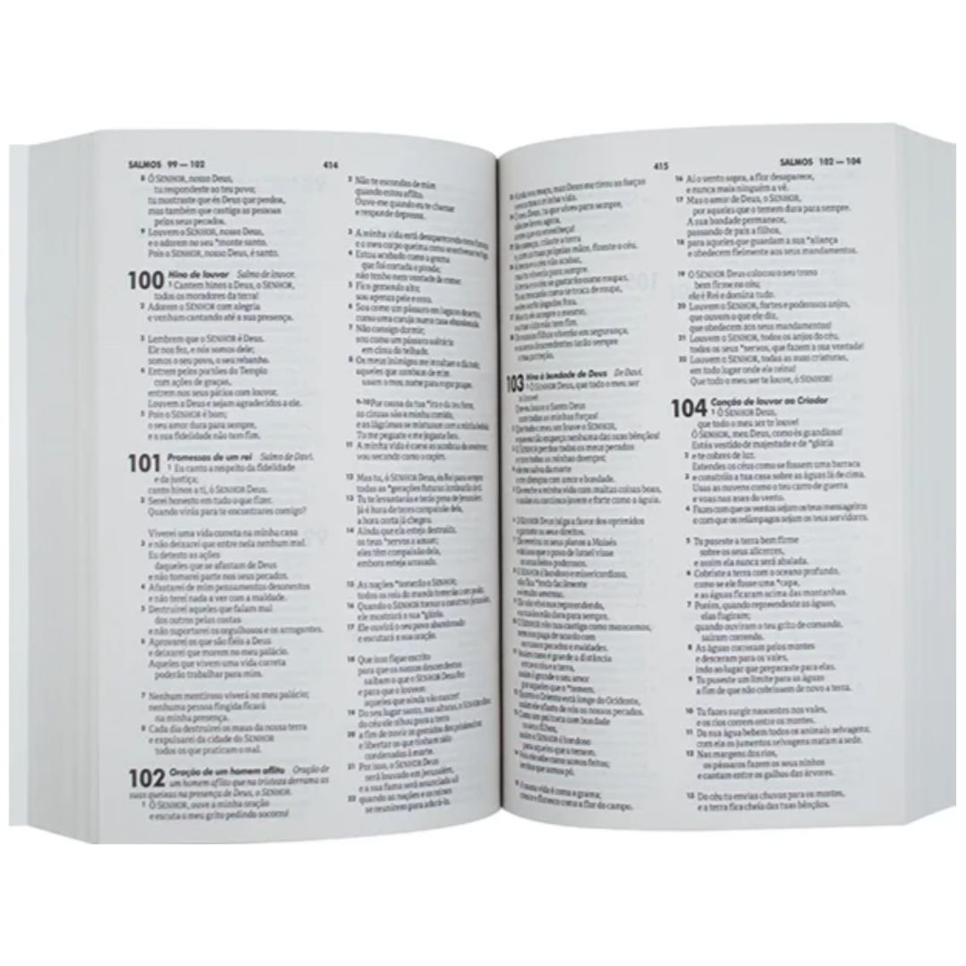 Bíblia Sagrada Semear | NTLH Preto - Imagem 3