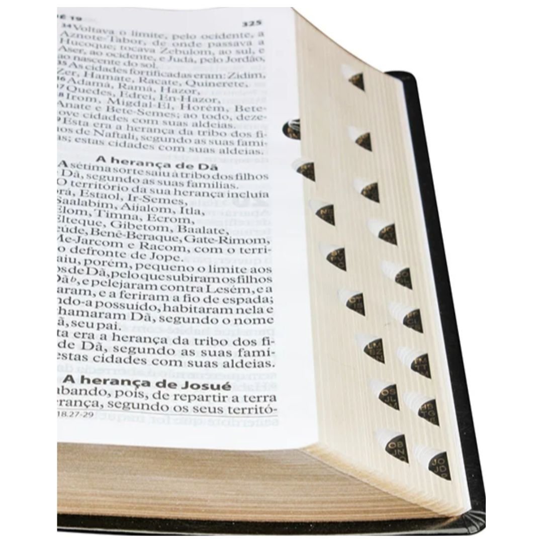 Bíblia Extragigante - SBB - Preta - RA - Imagem 2