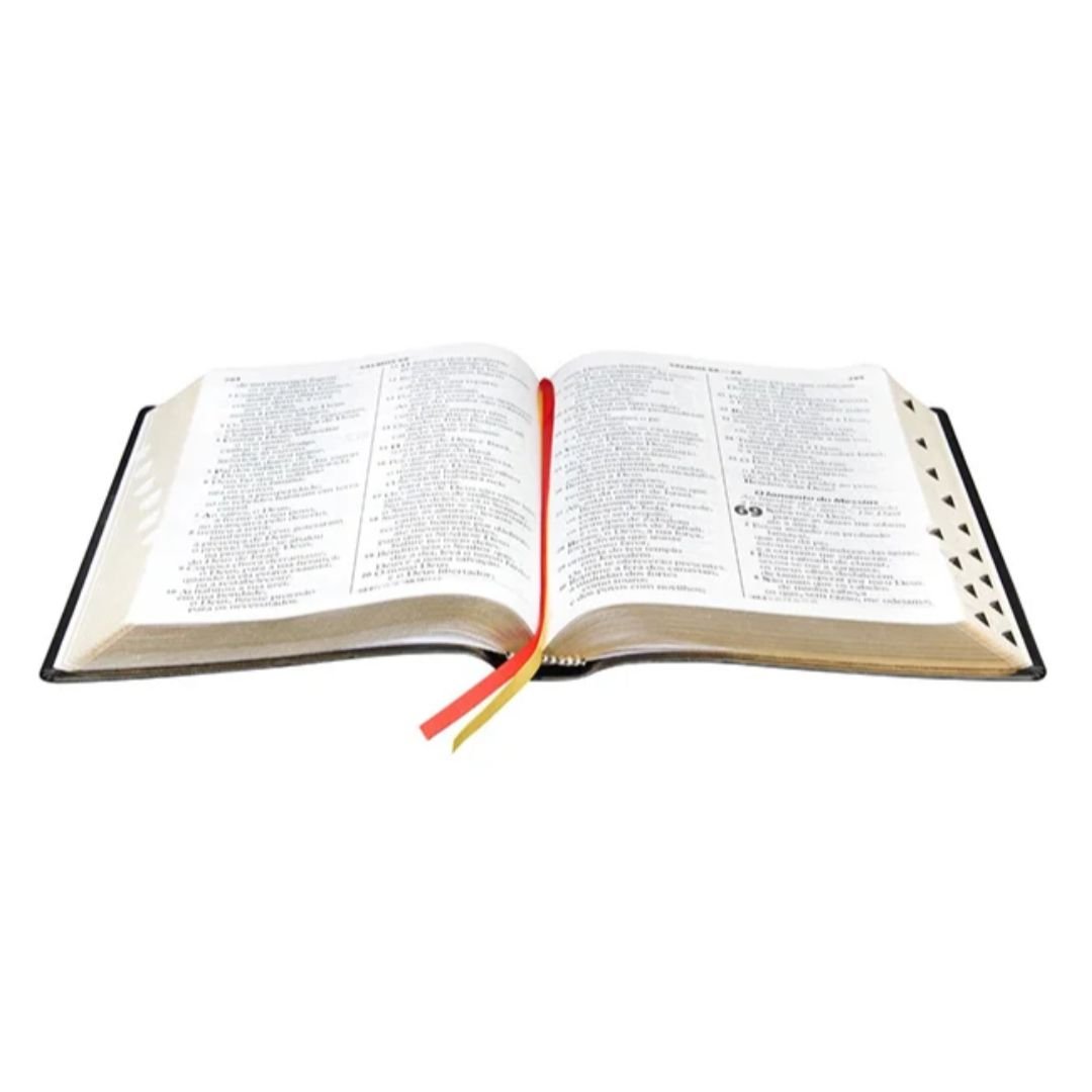 Bíblia Extragigante - SBB - Preta - RA - Imagem 4