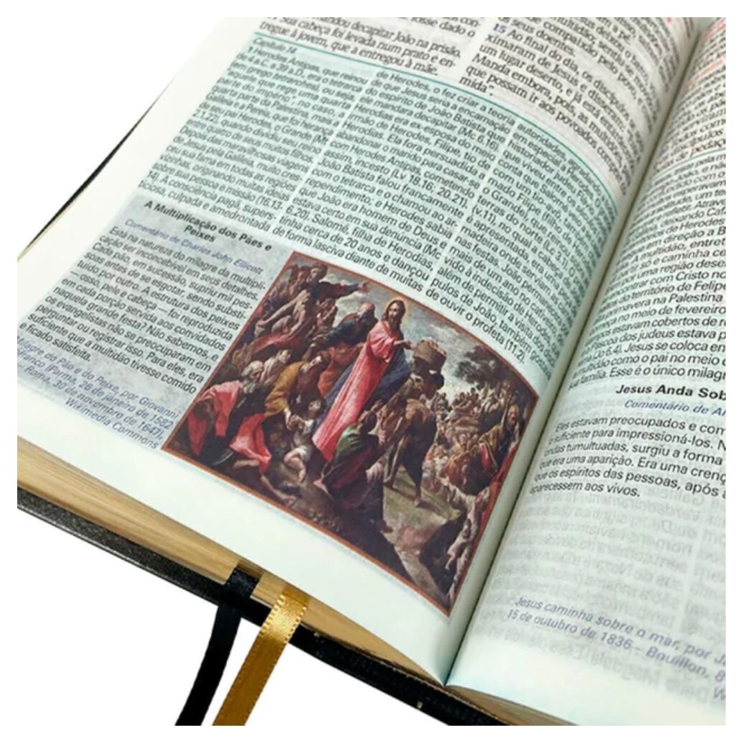 Bíblia De Estudo King James Atualizada | Caramelo, Marrom e vinho - Imagem 4