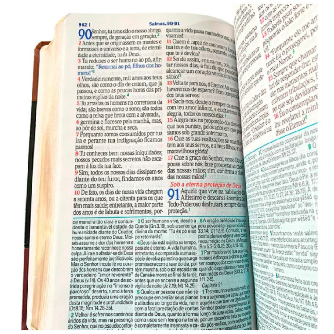 Bíblia De Estudo King James Atualizada | Caramelo, Marrom e vinho - Imagem 5