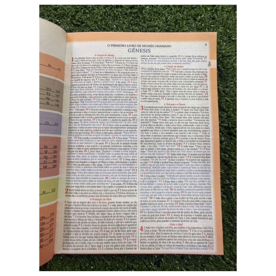 Bíblia Letra Média Full Color NVA | Preta e Marrom - Imagem 3