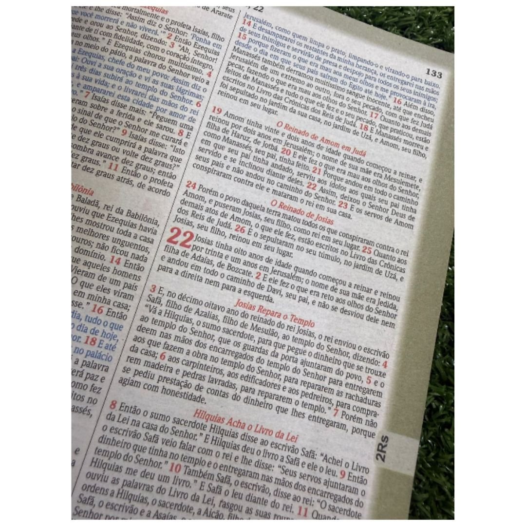 Bíblia Letra Média Full Color NVA | Preta e Marrom - Imagem 4