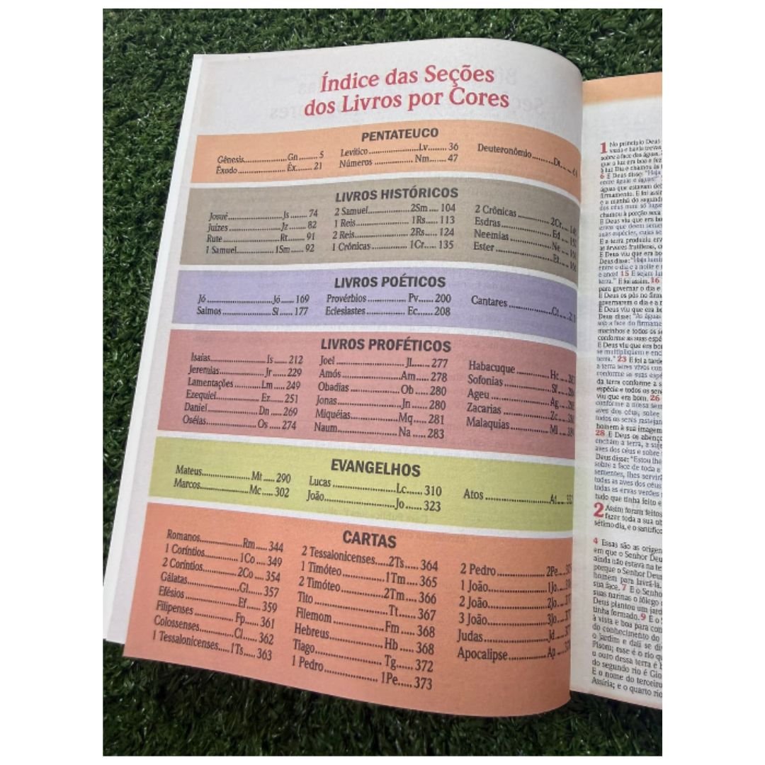 Bíblia Letra Média Full Color NVA | Preta e Marrom - Imagem 2