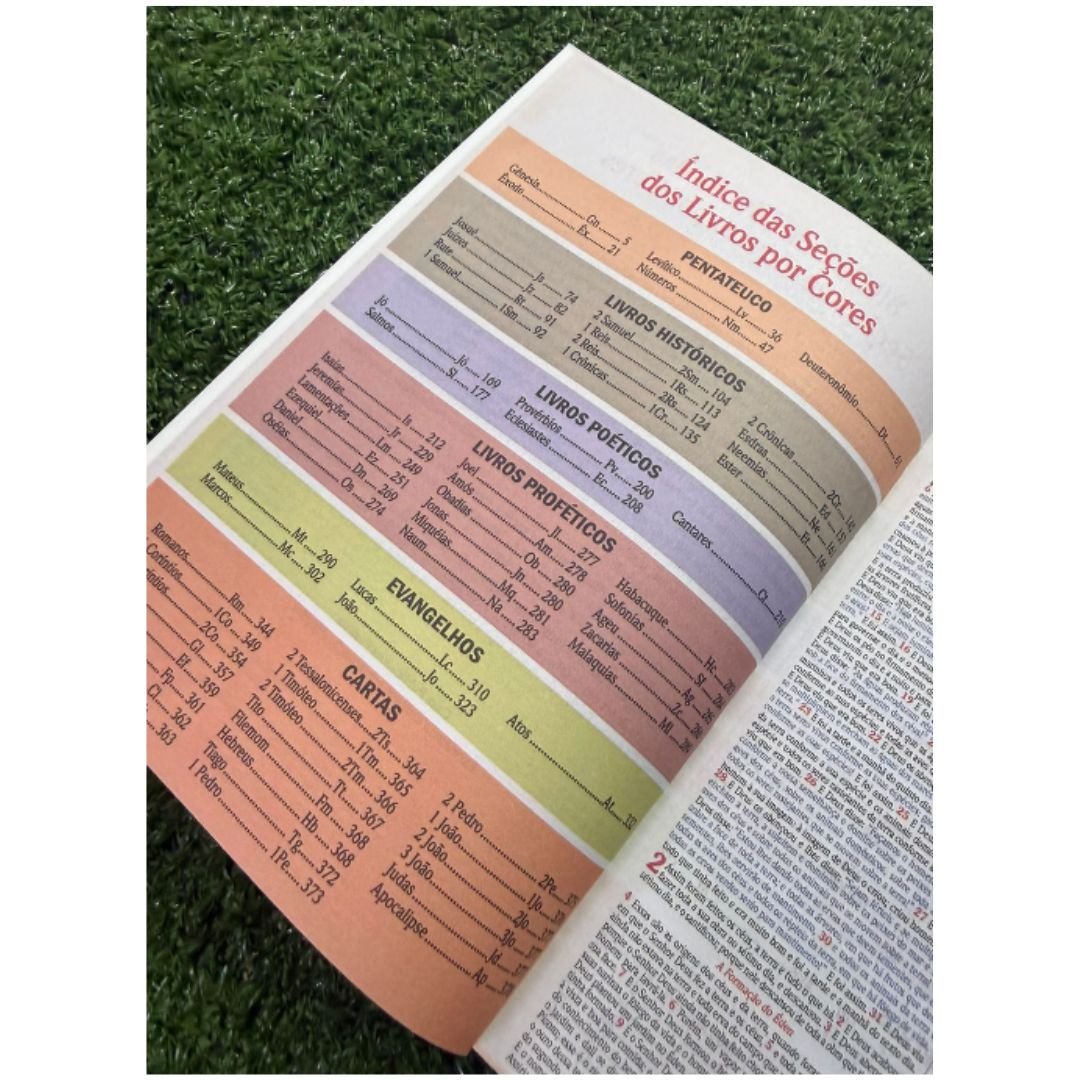 Bíblia Letra Média Full Color NVA | Preta e Marrom - Imagem 5