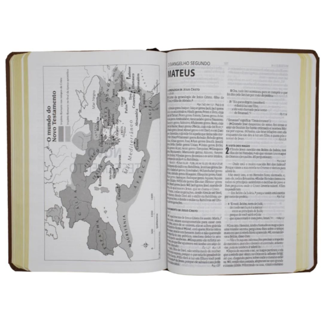 Bíblia Sagrada NAA Slim | Capa em couro sintético, PINK - Imagem 6