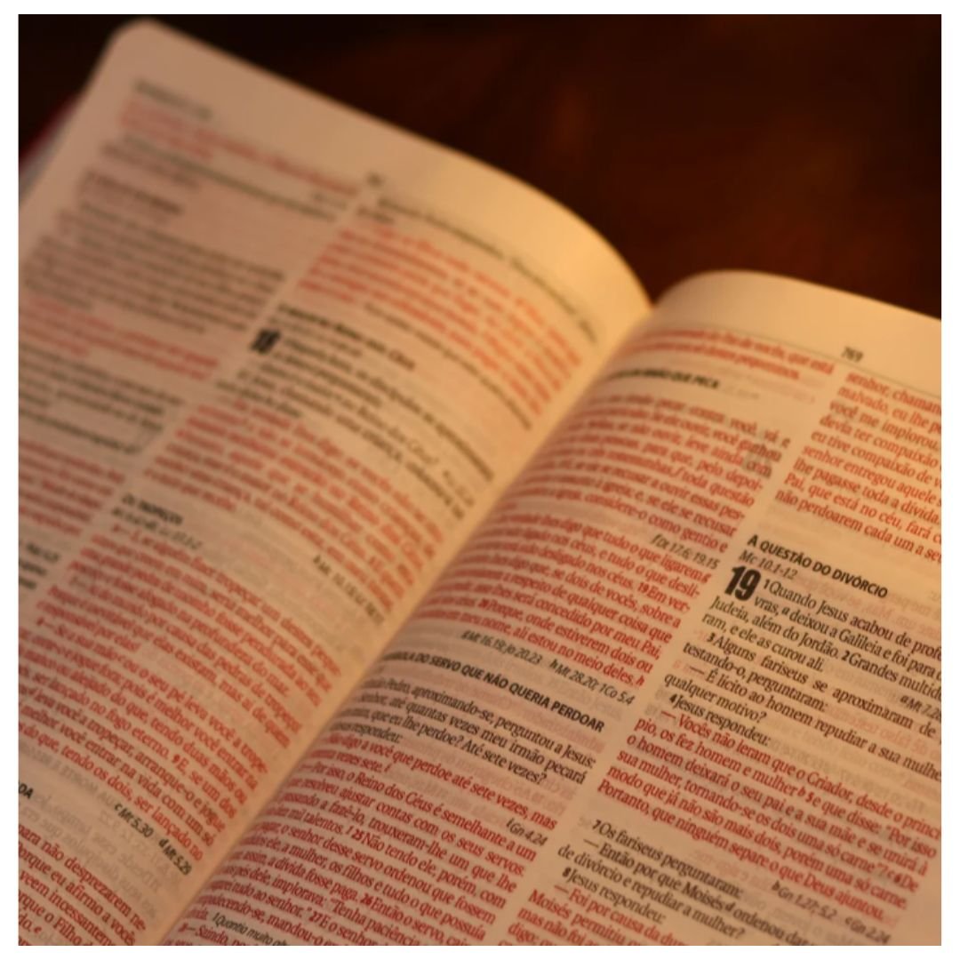 Bíblia Sagrada NAA Slim | Capa em couro sintético, PINK - Imagem 3