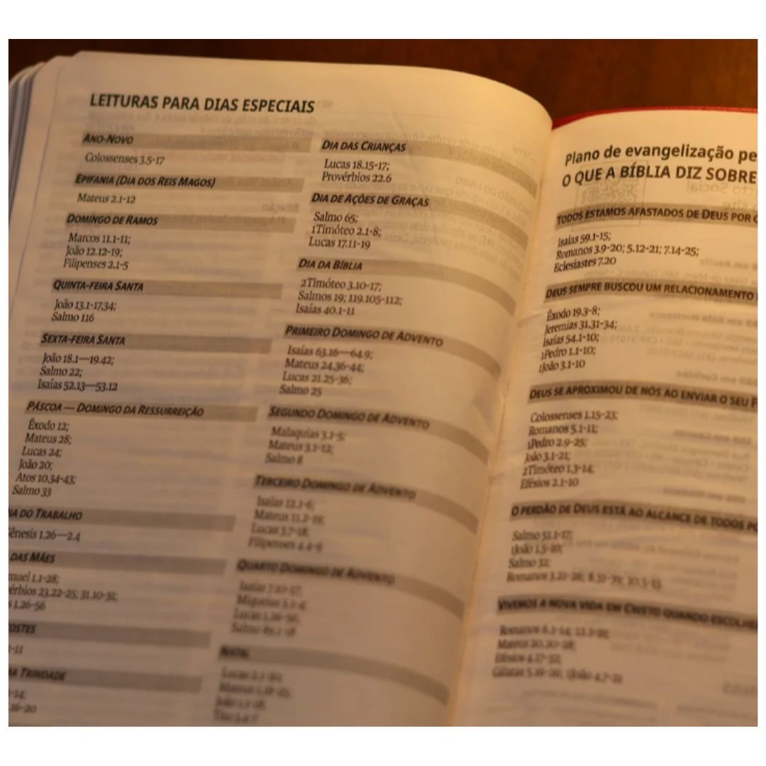 Bíblia Sagrada NAA Slim | Capa em couro sintético, PINK - Imagem 5