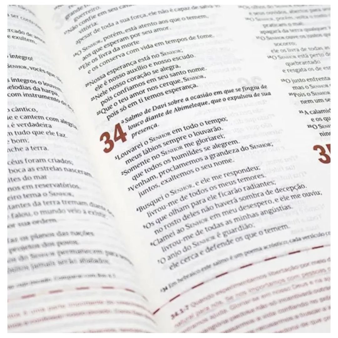Biblia de Estudo Desafios de Todo Homem | Marrom - Imagem 4
