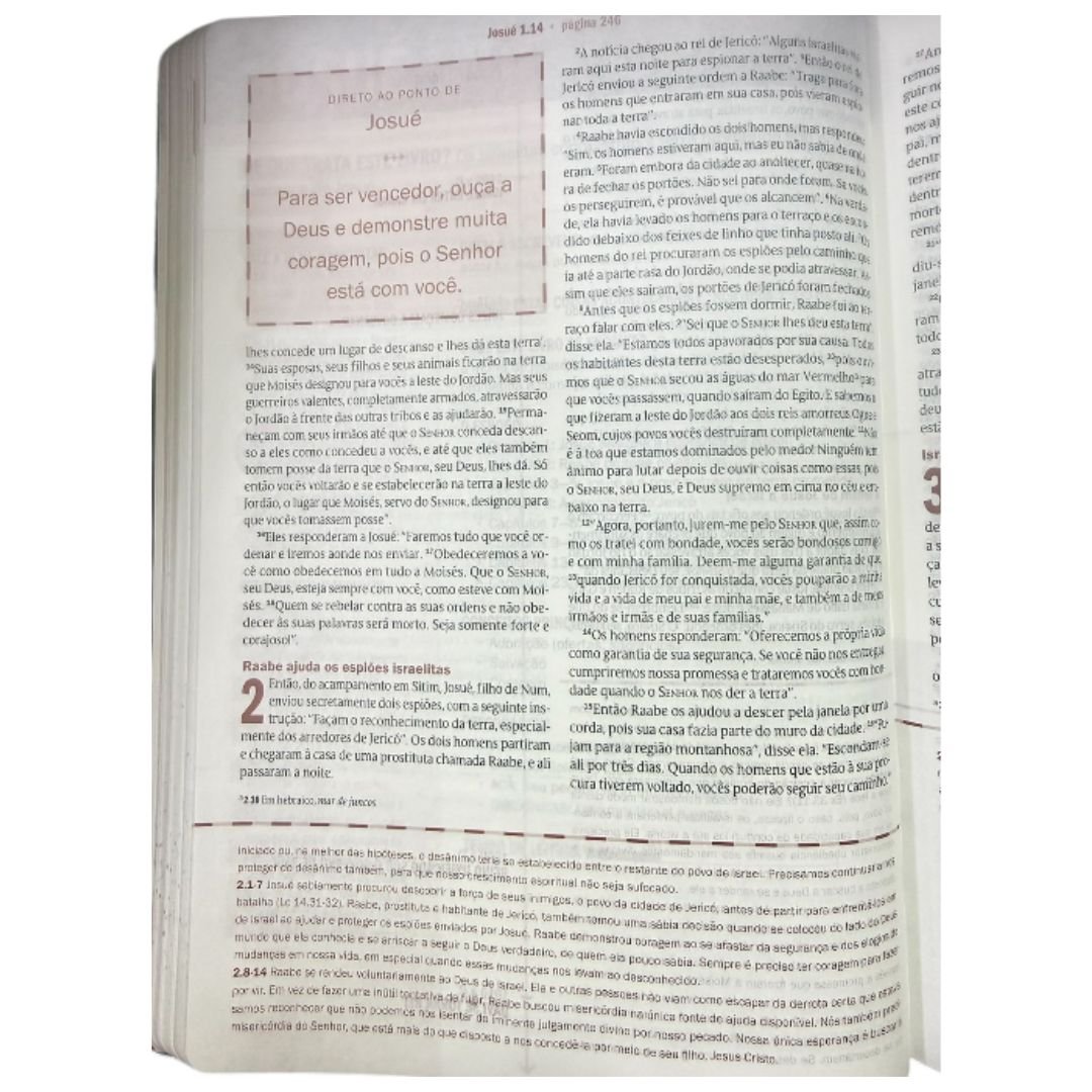 Biblia de Estudo Desafios de Todo Homem | Marrom - Imagem 6