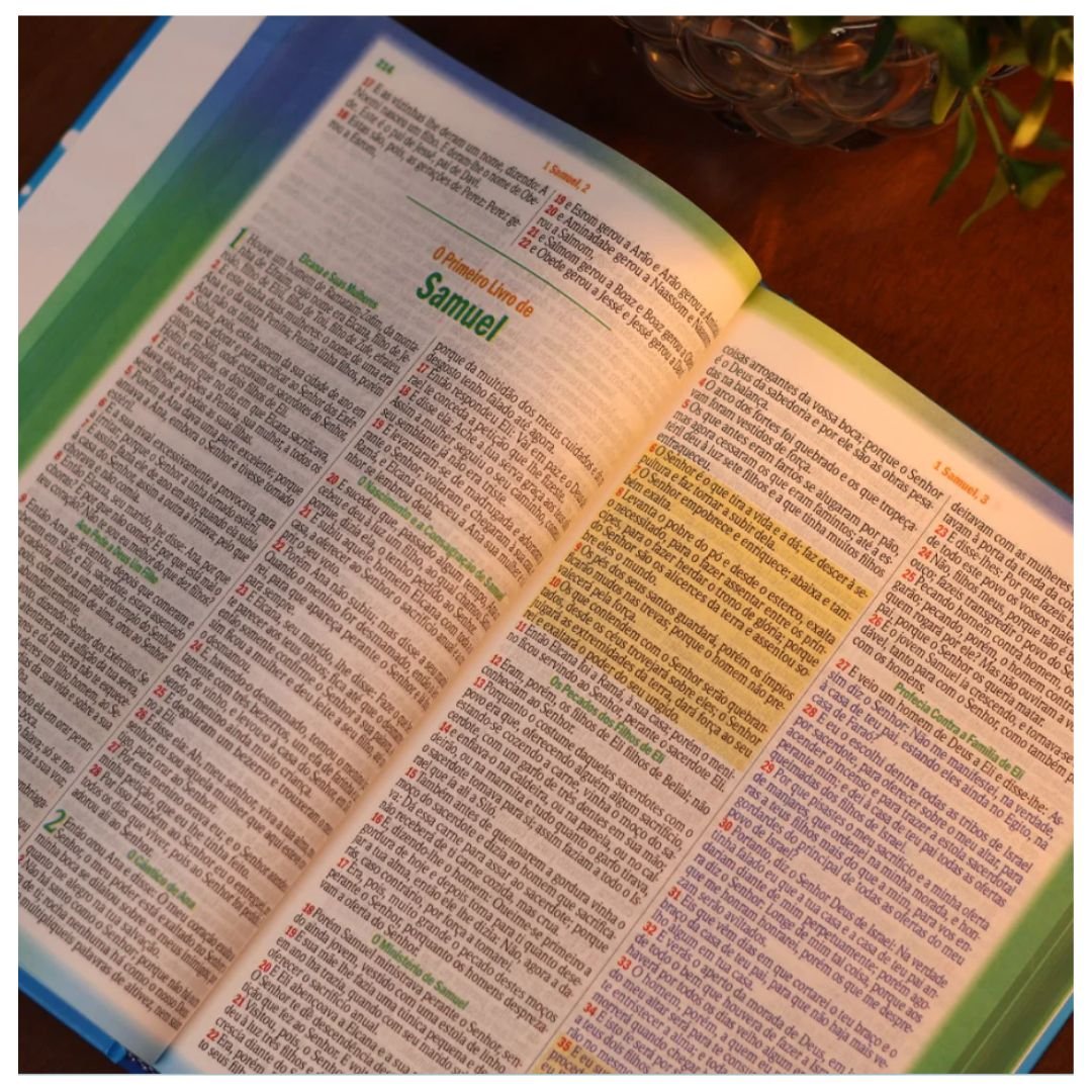 BÍBLIA DOS MENINOS CORAJOSOS - CAPA DURA - AZUL | COM HARPA - Imagem 7