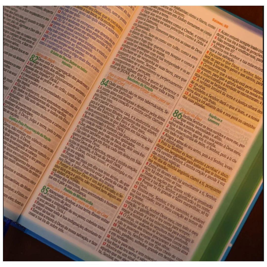 BÍBLIA DOS MENINOS CORAJOSOS - CAPA DURA - AZUL | COM HARPA - Imagem 5